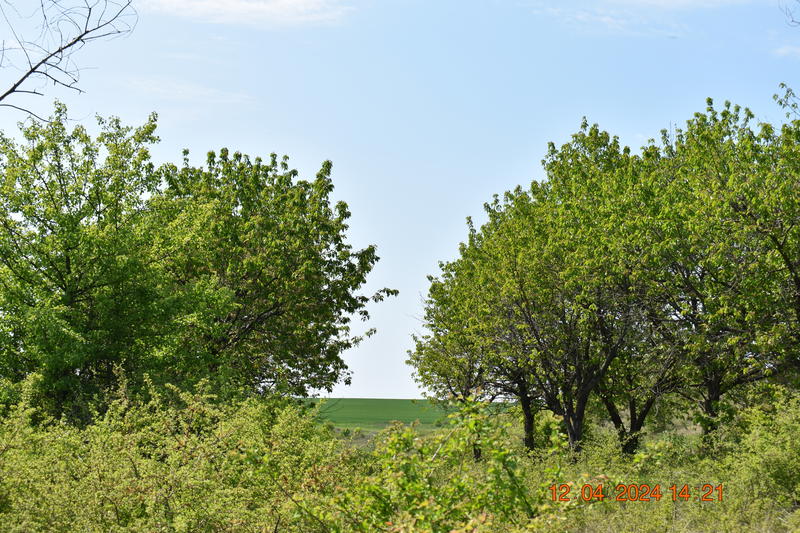 The new protected area “Arvaliyka” in the land of the Pleven village of Kushin is declared - 5