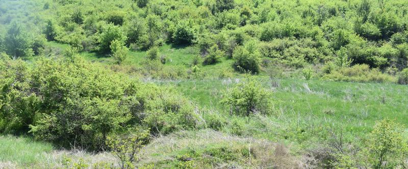 The new protected area “Arvaliyka” in the land of the Pleven village of Kushin is declared - 4