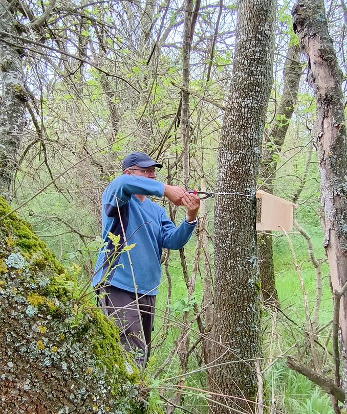 Dormice observation houses are being installed in 43 locations across the country as part of a new monitoring methodology - 6