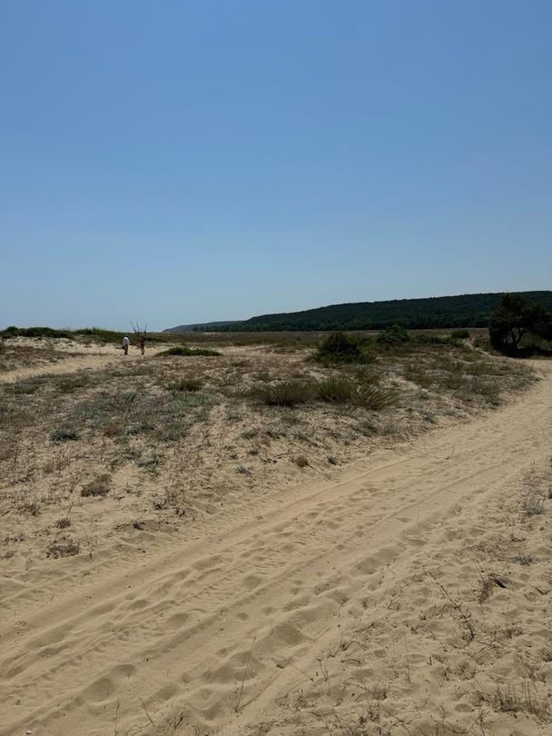 The MOEW conducted inspections on unauthorized camping on dunes on the Northern Black Sea coast - 5
