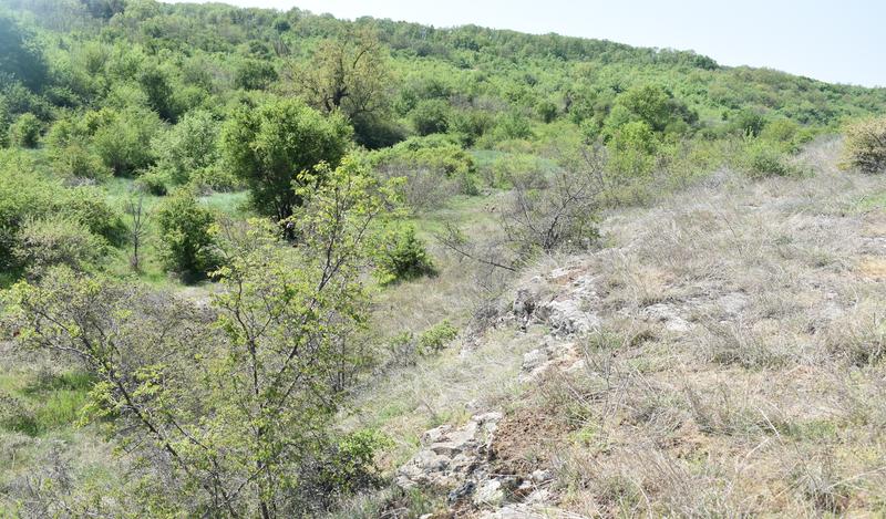 The new protected area “Arvaliyka” in the land of the Pleven village of Kushin is declared - 01