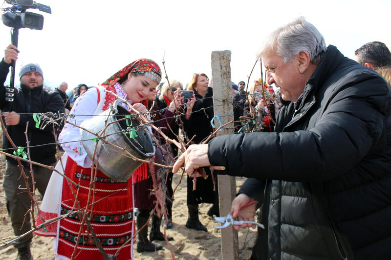 On Trifon Zarezan, Minister Manol Genov awarded the first prize for good wine in Brestovitsa - 01