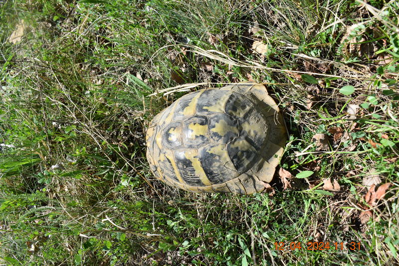 The new protected area “Arvaliyka” in the land of the Pleven village of Kushin is declared - 2